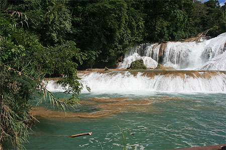 Les chutes d'Agua Azul