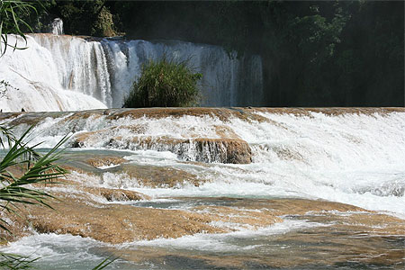 Les chutes d'Agua Azul