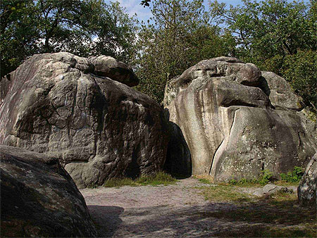 For�t de Fontainebleau