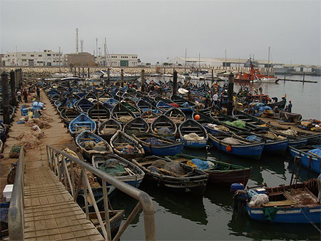 Port de p�che d'Agadir