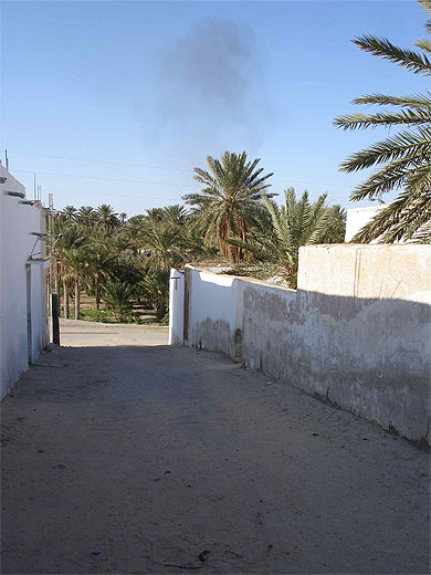 Acc�s � la palmeraie