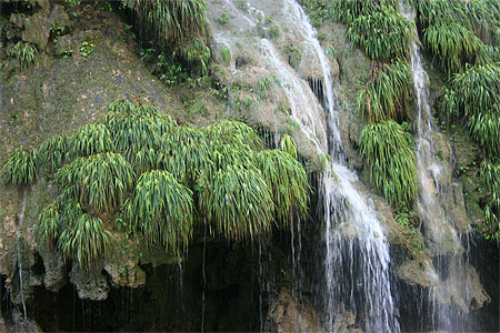 Le Ca�on del Sumidero