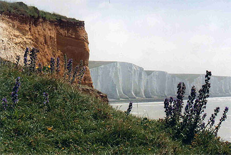 Falaises de craie anglaises