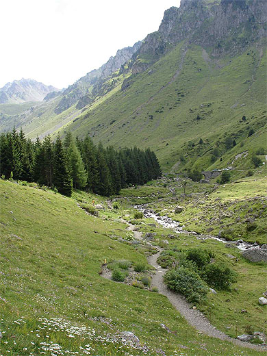 Jardin botanique du Tourmalet