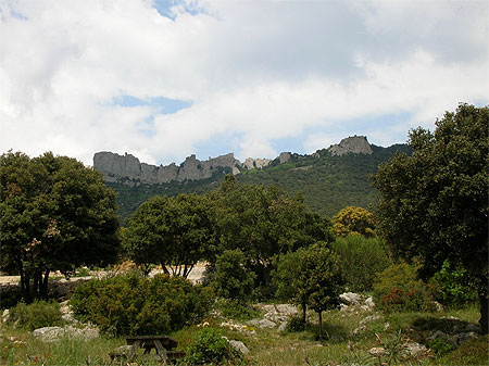 Ch�teau de Peyrepertuse