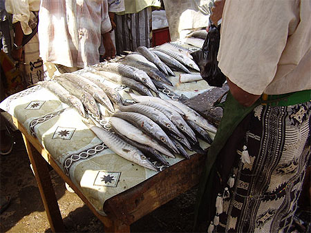 Beit El-Faqih - Etal d'un poissonnier