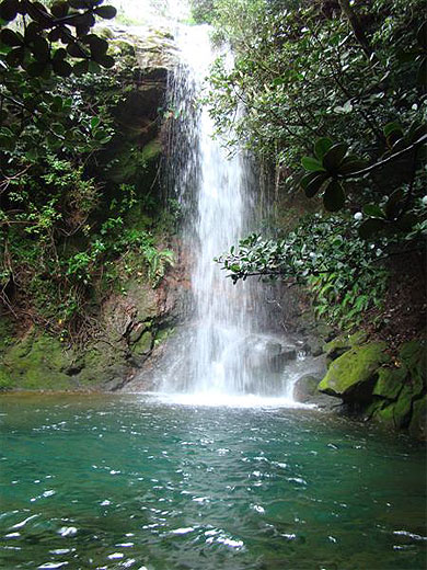Cascade