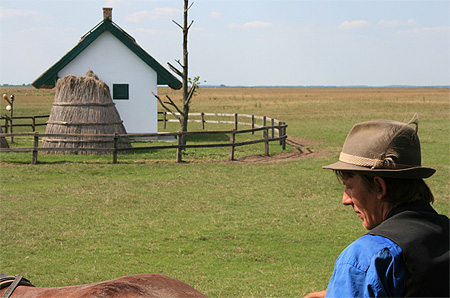 D�couverte de la Puszta en cal�che
