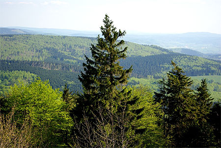 Un paysage de la for�t de Thuringe