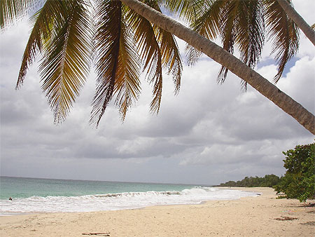 Anse des salines