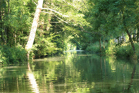 Venise verte