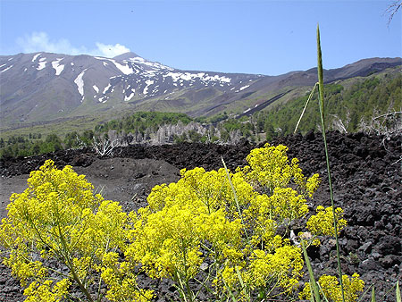Etna
