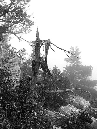Paysages lugubre de la n�cropole de Termessos