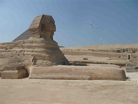 Le sphinx