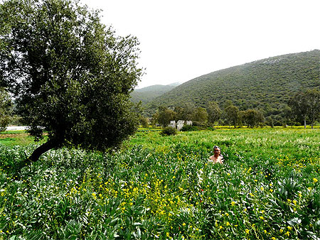 Femme travaillant dans les champs de Patara