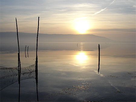 Gargano