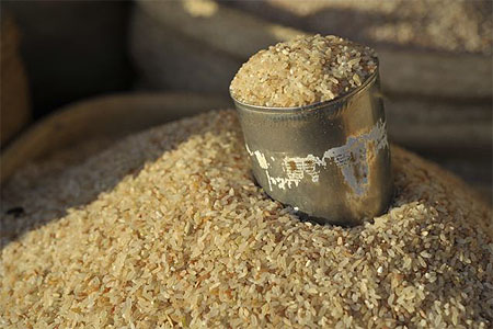 Le riz... joue un r�le fondamental dans la vie des malgaches