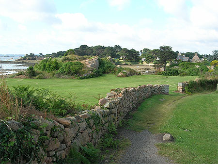 Le chemin vert