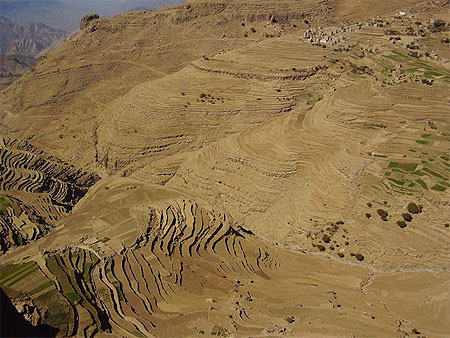 Au pied de Bokur