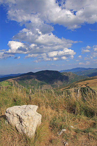 Paysage de la corniche des C�vennes