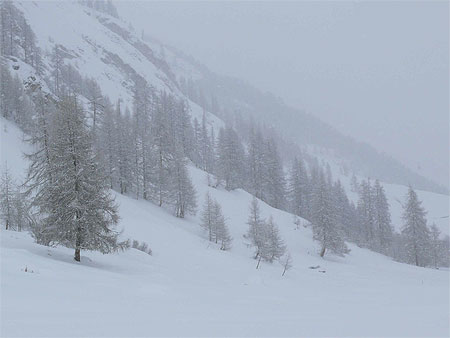 Temp�te de neige