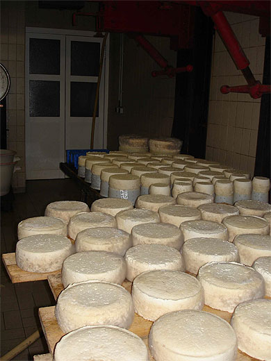 Fromagerie