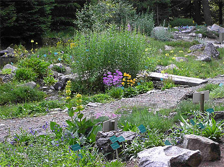 Jardin Botanique du Tourmalet