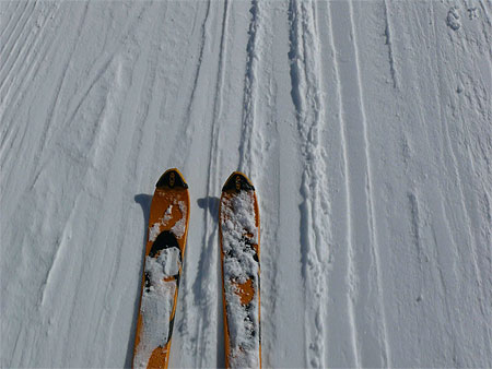 Skis