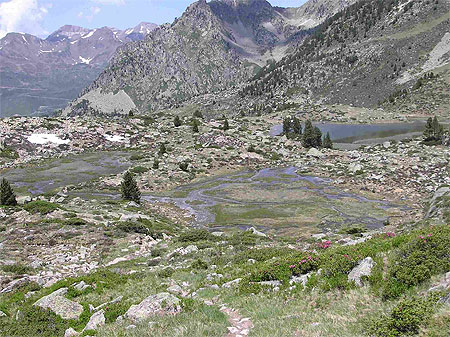 Lac de la Jonqu�re