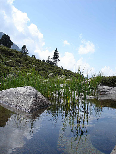 Laquet de la vall�e d'Aygues Cluses