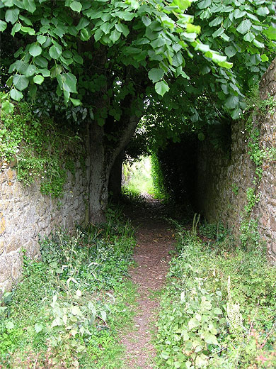 Chemin secret