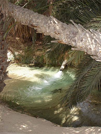 Source de Tozeur