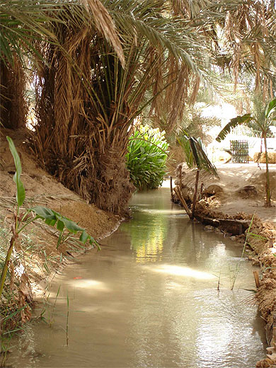 Petit Oued de Tozeur