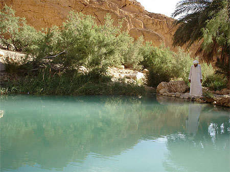 Oasis de Chebika