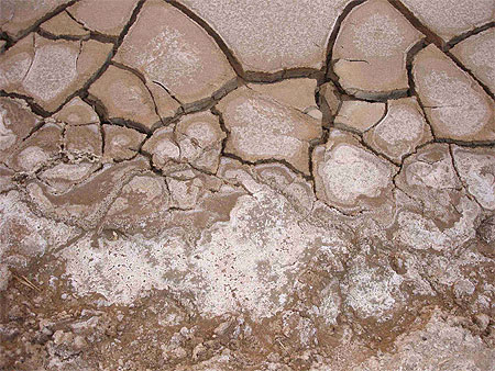 Sol crevass� des gorges de Selja