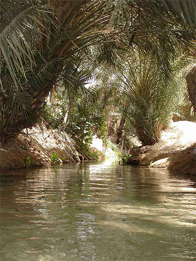 Oued ombrag�