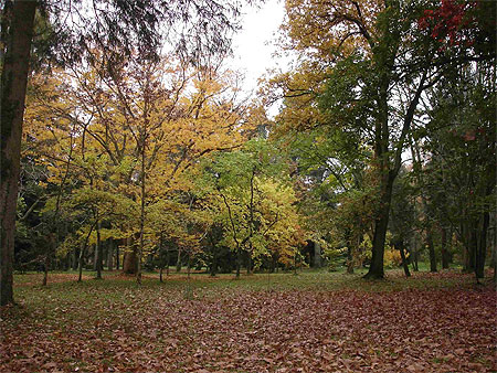 Arboretum national des Barres