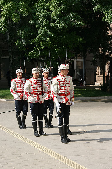 Discipline