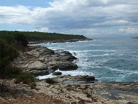 Prementura