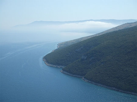 Point de vue de Plomin