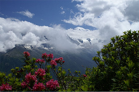 Le Mont Blanc