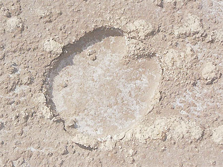 Chott el Djerid empreinte