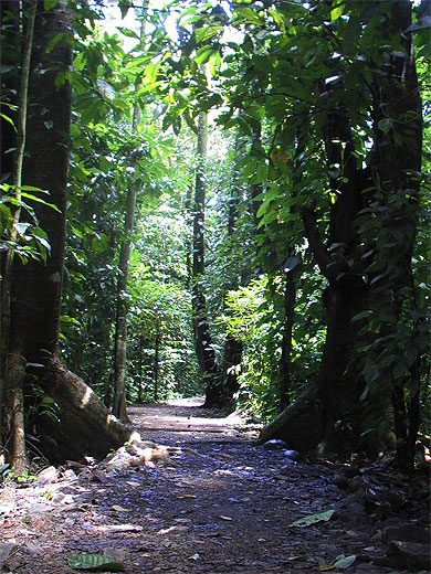 Parc Hacienda Baru
