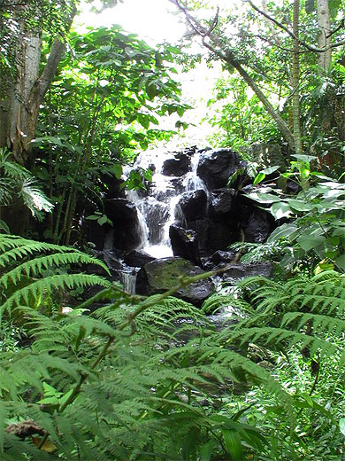 Chute d'eau