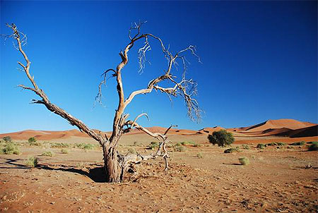 Namib Desert