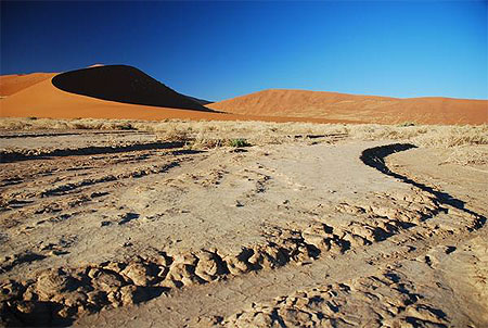 Namib Desert