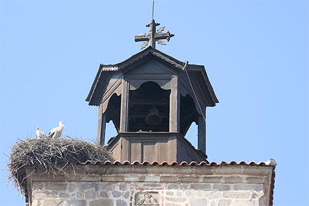 Cigognes � Bansko