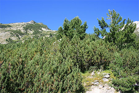 Massif du Pirin