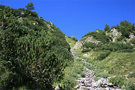 Chemin de randonn�e