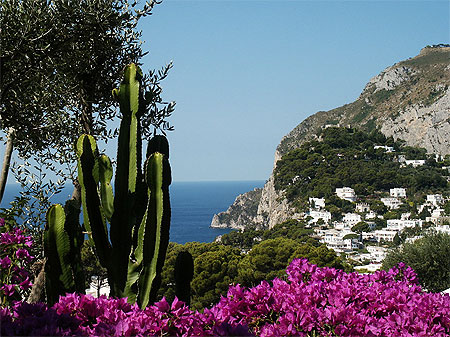 Capri - Typique paysage m�diterran�en
